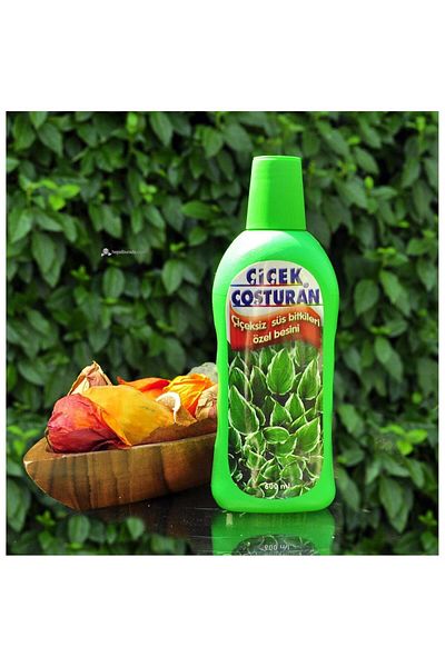 NEZADE STORE For Flower Enthusiastic Flowerless Ornamental Plants