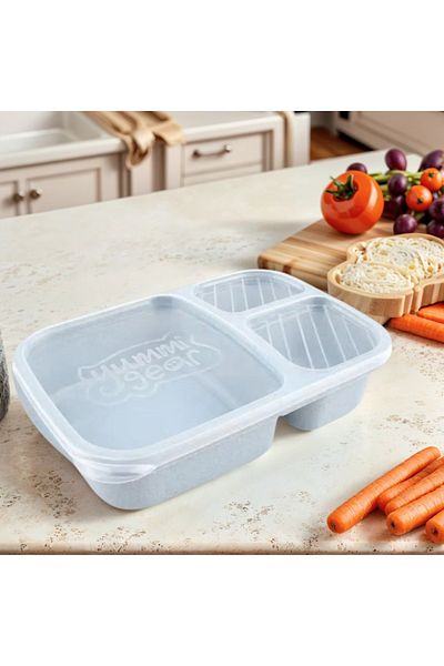 COOYA 3-Grid Lunch Box with Lid, Blue/Clear, 23.5x15x5cm