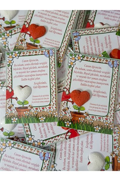 Lilamor 20 Pieces April 23 National Sovereignty and Children's Day Heart with Seeds