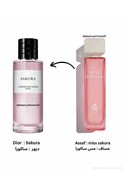 ASSAF Miss Sakura
