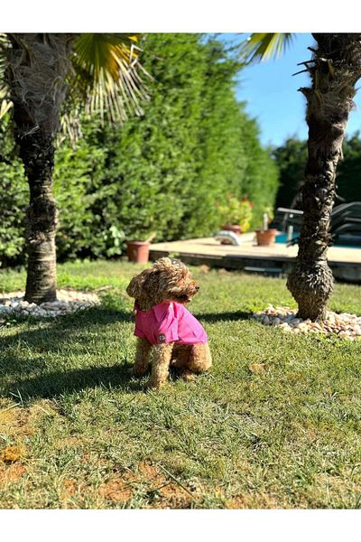salya store Spoiled Humbled - Linen Summer Dog Shirt Fuchsia (Small Breeds)