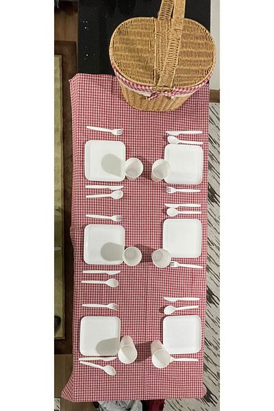 Çelik Express Picnic Set 32 Pieces Cutlery Knife Spoon and Plate Set for 6 People