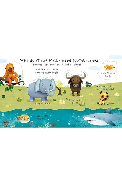 Kolektif Kitap Why Should I Brush My Teeth? (Hardcover)