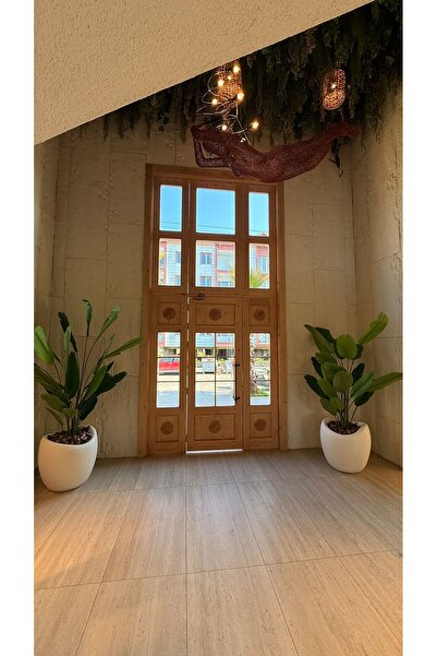 abacıshop Beton avize dekoratif Beton görünümlü bonee saksı beton sarkıt avize 70 cm