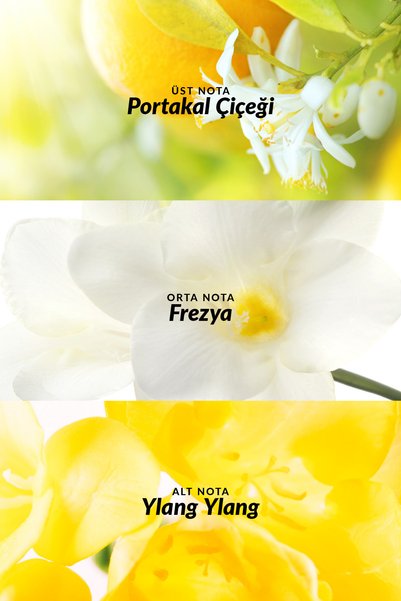 AVON Tta Today Kadın Nemlendirici Vücut Losyonu 125 Ml.