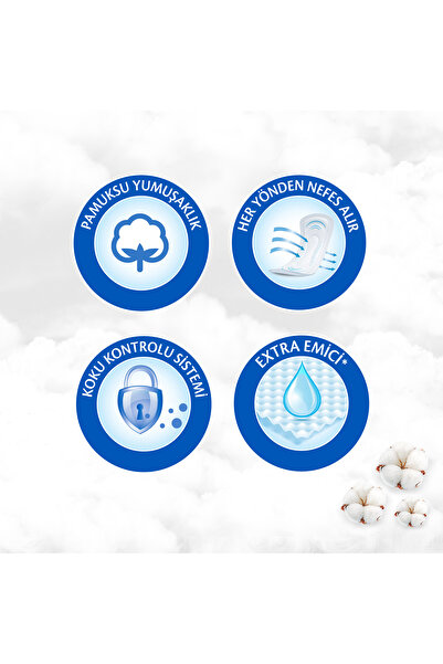 Molped 84 First and Last Day Pads