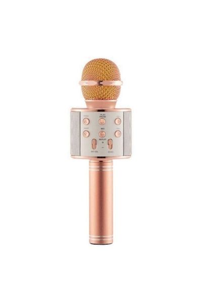 OEM Wireless Karaoke Microphone with Built-in LED Speaker & Battery, Voice Change Function