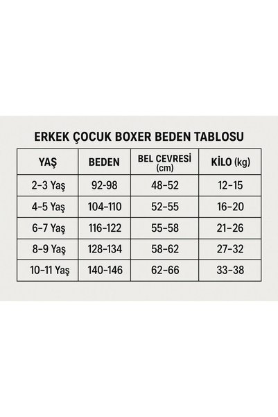 Erdenay Tekstil Mixed Patterned Boy's Printed Boxer Set of 3