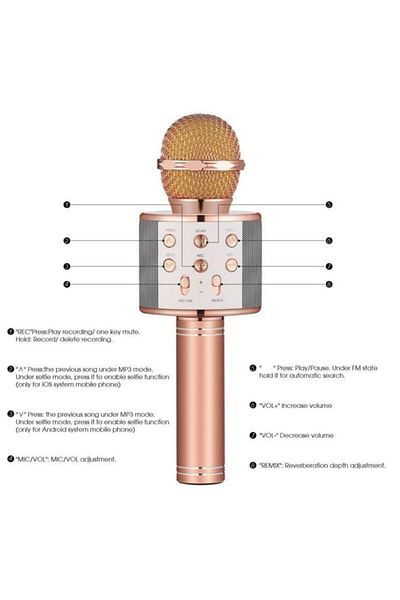 OEM Wireless Karaoke Microphone with Built-in LED Speaker & Battery, Voice Change Function