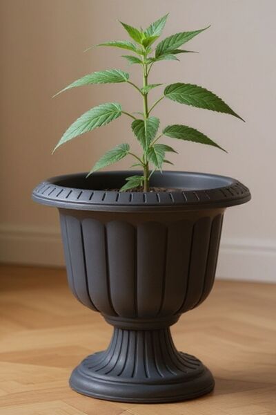 Bliss Nergiz Dekoratif Antrasit Ayaklı Saksı Plastik Çiçek Kapıönü Masa Saksısı 25*25 Cm