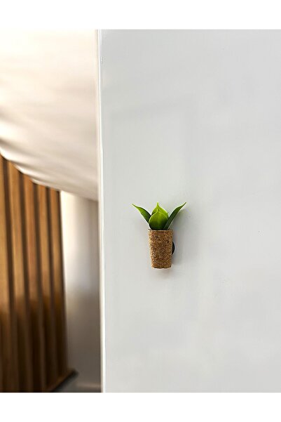 Mushroom Magnet-Leaf