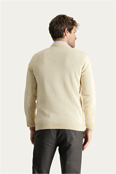 Kiğılı Bisiklet Yaka Slim Fit Dar Kesim Yünlü Desenli Pamuklu Triko Kazak