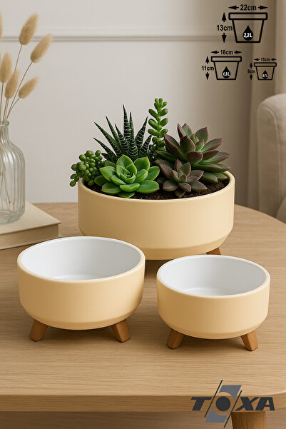 ToXA 3 Boy Plastik Aranjman Saksı Seti Menekşe Sukulent Saksısı Set