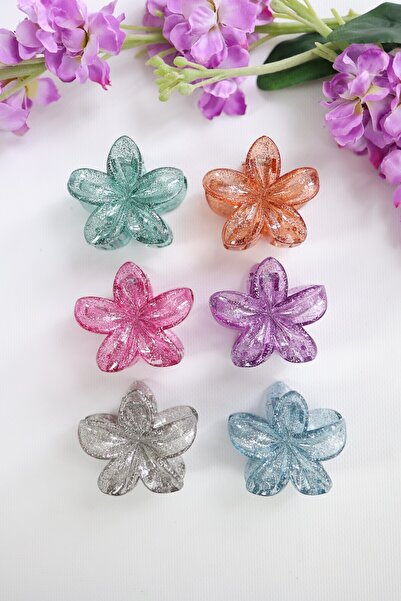 cityvision 6 kusů třpytivých sponek do vlasů Lotus 6 různých barev - 6 cm střední velikost - lehké a odolné