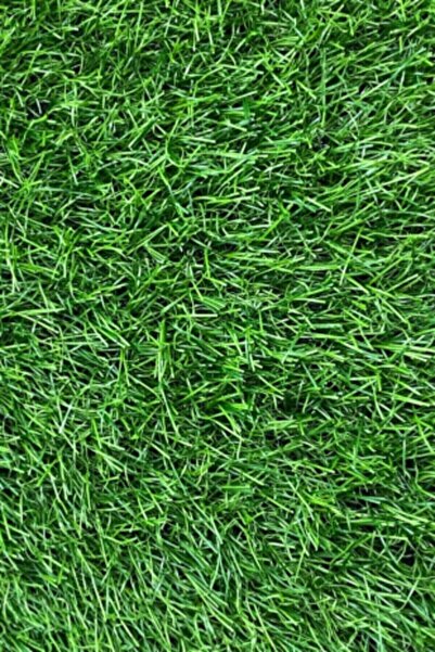 AKSEREN Çim Halı Yeşil Suni Yapay Çim Halı 20mm En : 1 Metre
