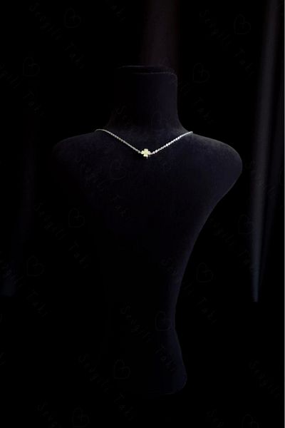 SEVGİLİ TAKI Charmed Clover Steel Necklace - Honey Series