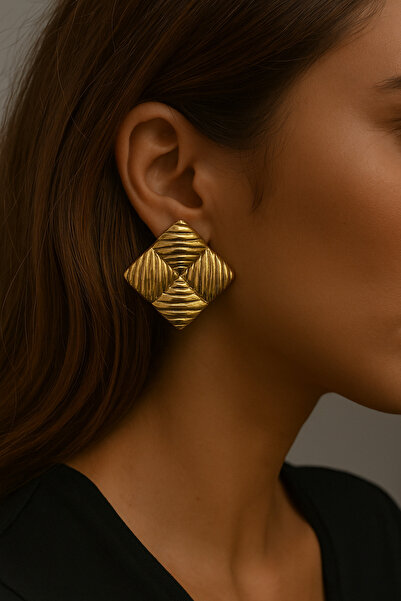 staınless steel Geometric Pattern Steel Earrings
