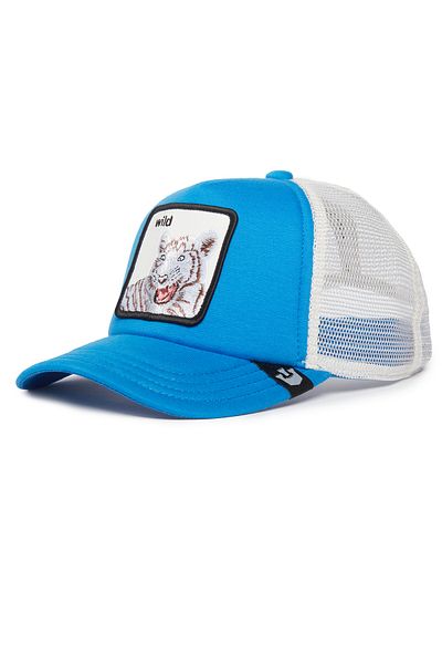 Goorin Bros Wild Stripes