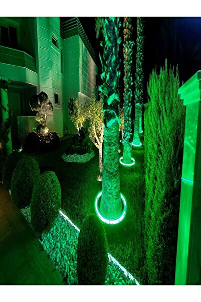 DOGRUP Palmiye Ağaç Aydınlatma Çember Dairesel Led Yuvarlak Aydınlatma Armatü...