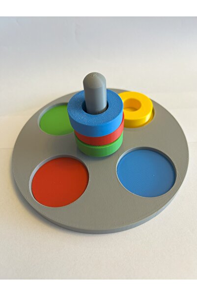 Atlas Lab Montessori Renk Eşleştirme Oyuncağı – Halkalı Bul-Tak – Motor Beceriler ve Zeka Geliştirici - 3D