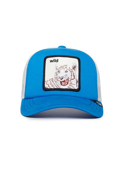 Goorin Bros Wild Stripes