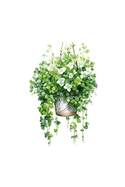 INOVATIX Set de 8 piese, autocolant pentru ghiveci de flori suspendate cu flo...