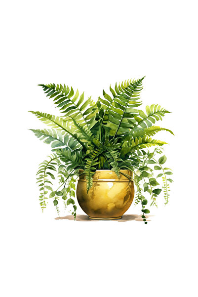 INOVATIX Set de 8 piese, Autocolant Ghiveci auriu cu ferigă, INOVATIX®. 6 cm