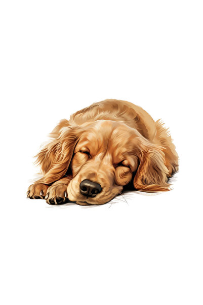 INOVATIX Set de 8 bucăți, autocolant Golden Retriever, INOVATIX®. 6 cm