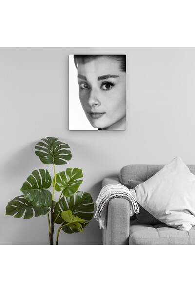 Pixxa Audrey Hepburn Metalna Slika Model 1