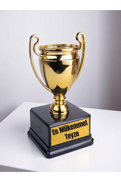 lili hediyelik The Best Perfect Aunt Printed Award Achievement Championship Trophy