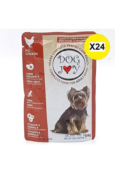 Dog Joy X24 - DOG JOY PLIC CAINI 100G PUI