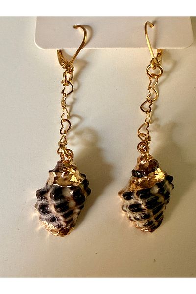 OITA Dangle Earrings Gold Metal Gold Color Tip with Oyster Summer Fashion Design
