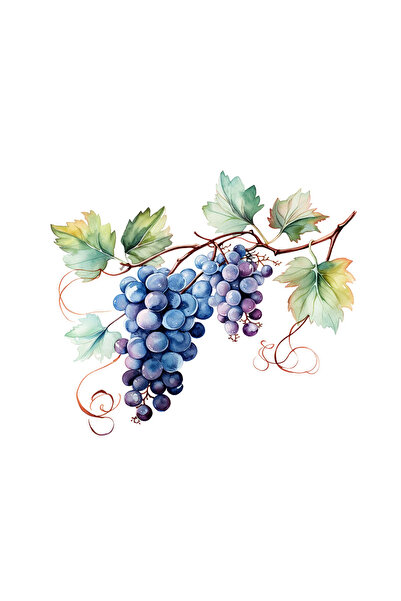 INOVATIX Set de 8 piese, autocolant creangă cu struguri negri, INOVATIX®. 6 cm