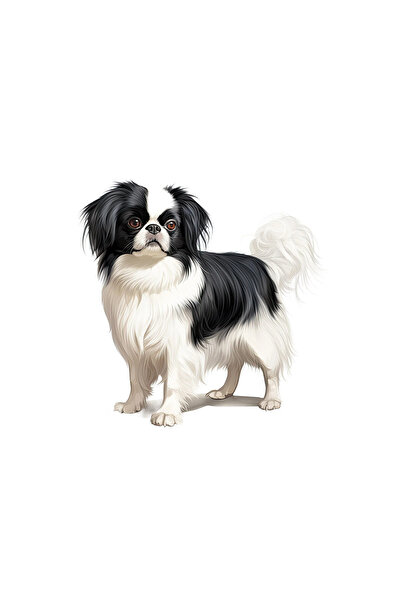 INOVATIX Set de 8 bucăți, autocolant japonez pentru bărbie, INOVATIX®. 6 cm