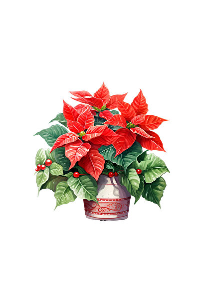 INOVATIX Set de 8 bucăți, autocolant Flori de Crăciun Noemi, INOVATIX®. 6 cm