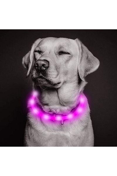 Kpuplol Rechargeable Lighted Dog Collar, Usb, Tpu, Pink, Size M