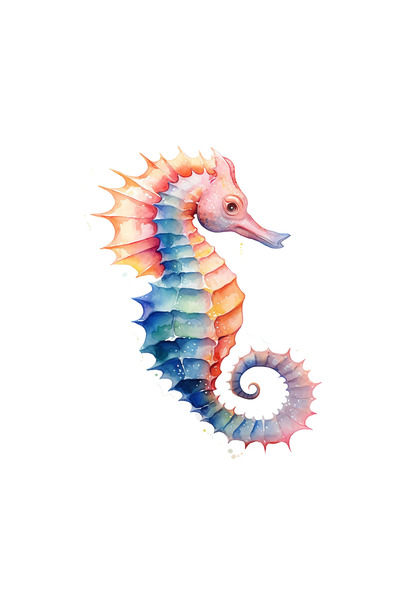 INOVATIX Set de 8 bucăți, autocolant cu căluți de mare curcubeu, INOVATIX®. 6 cm