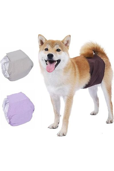 BePetMia Set de 3 scutece lavabile BePetMia pentru câini, maro/bej/violet, XS 22-32 cm