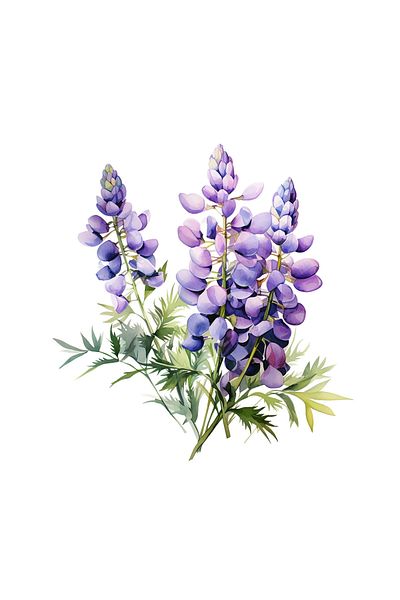 INOVATIX Set de 8 bucăți, autocolant floare de lupin violet, INOVATIX®. 6 cm