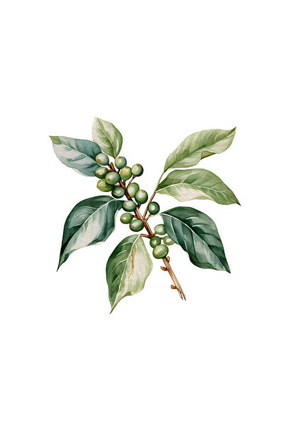 INOVATIX Σετ 8 τεμαχίων, Αυτοκόλλητο Κλαδί με κόκκους καφέ, INOVATIX®. 6 εκ.