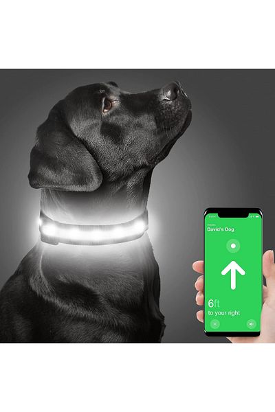 Dynmeow Dog Collar, Led, Nylon, Black/white, Size S