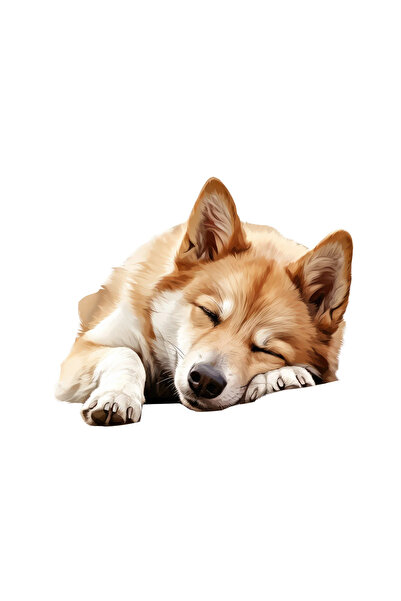 INOVATIX Set de 8 piese, autocolant Canaan, INOVATIX®. 6 cm