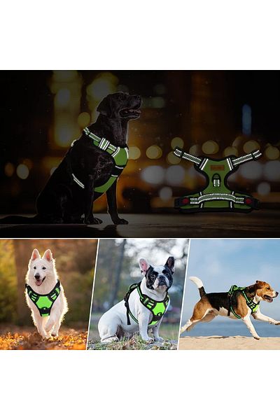 Besmall dog harness, reflective, green, size L