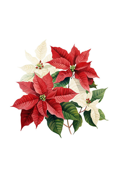 INOVATIX Set de 8 autocolante buchet de flori de Crăciun, INOVATIX®. 6 cm