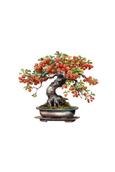 INOVATIX Set de 8 bucăți, autocolant Bonsai Adora, INOVATIX®. 6 cm