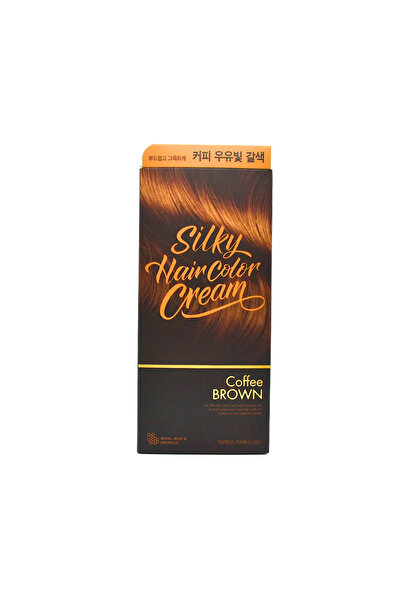 The Face Shop The Face Shop Silky Hair Dye || Dark Brown with Henna Extract || For Hair Dyeing and Nourishment