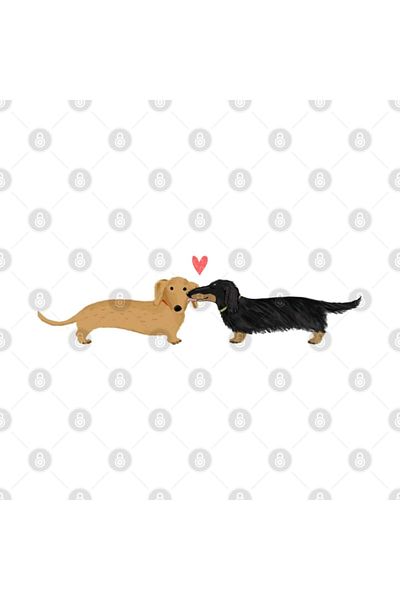 Pixxa Dachshunds Love - كوب للكلاب