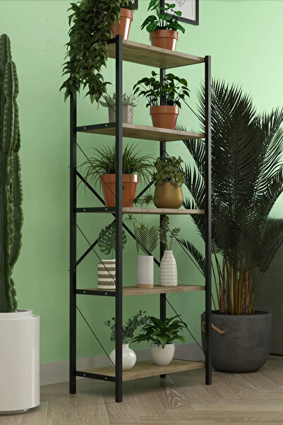 DizaynMotion Çiçeklik Saksılık Salon Balkon Mutfak Rafı Kapaksız Düzenleyici Raf 150cm Atlantik Çam