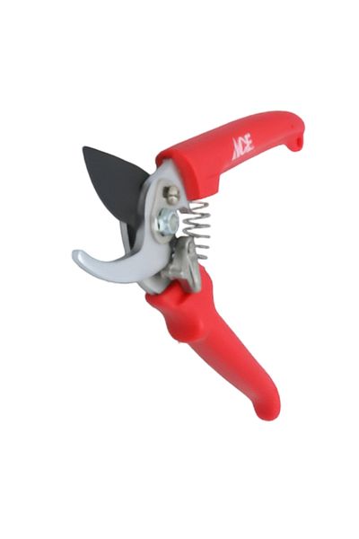 ACE Bypass Pruner
