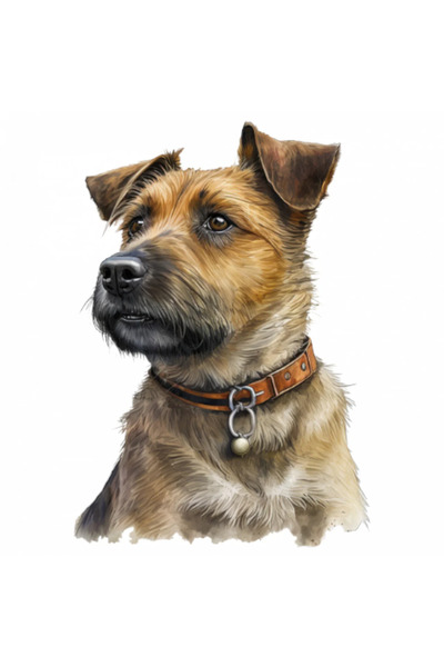 INOVATIX Set de 8 bucăți, autocolant pentru câini Border Terrier, INOVATIX®. ...